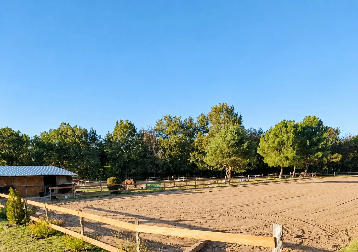 Une carrière d'équitation en sable bordée de clôtures en bois, avec un bâtiment d'écurie à gauche et des pins sous un ciel bleu.
