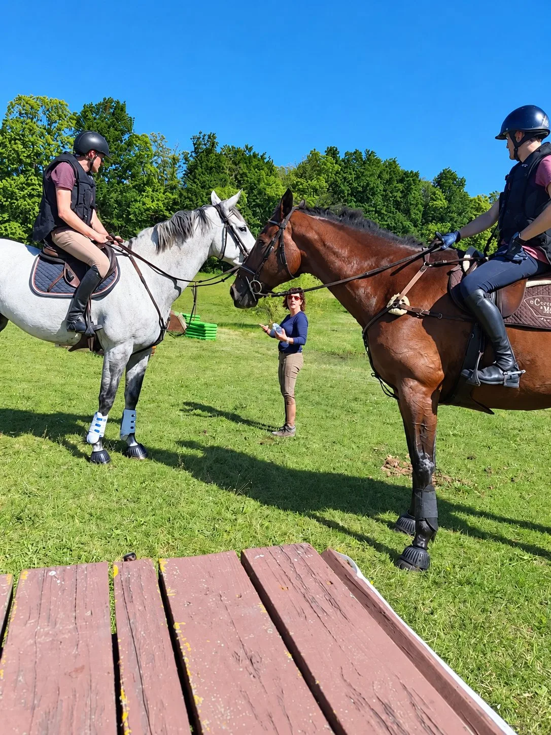 Deux cavaliers casqués montent un cheval gris et un cheval alezan dans un pré, face à une monitrice qui leur donne des explications.